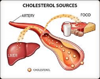 cholesterol