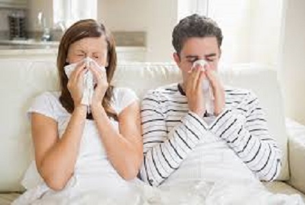 The Flu